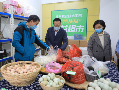 柳州職業(yè)技術(shù)學(xué)院教育扶貧案例入選全國(guó)教育扶貧典型案例