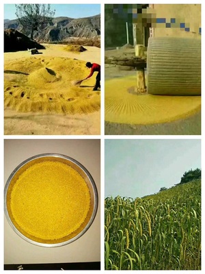 你好 首先我們這農(nóng)副土特產(chǎn)品比較多 要怎么運(yùn)營(yíng)?