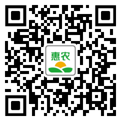 [苦參 貴州農(nóng)副土特產(chǎn)品非種植無硫中藥材苦參干貨產(chǎn)地直發(fā)一手貨源價(jià)格10斤