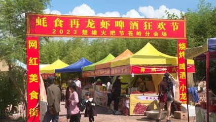 蒼嶺鎮(zhèn)火把節(jié)系列活動(dòng)開幕 體驗(yàn)愜意田園生活