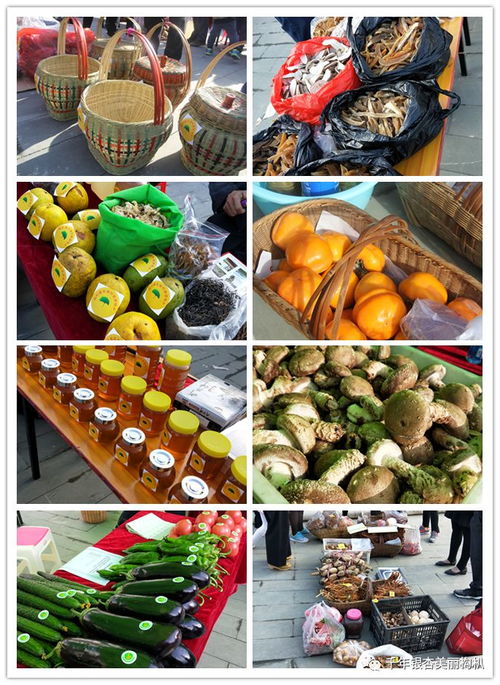 白河縣東坡村 扶貧 旅游 公益 暨農(nóng)副產(chǎn)品推介活動(dòng)盛大啟幕
