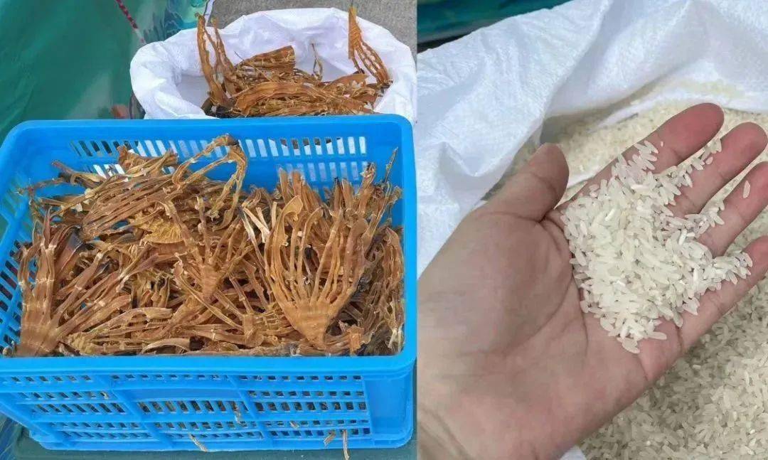 綦江區(qū)2023年消費幫扶農(nóng)副土特產(chǎn)品展會,今日好物推薦!