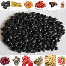  大同縣三利農(nóng)副產(chǎn)品有限責(zé)任公司 主營(yíng) 綠豆 黃花 玉米 黑豆