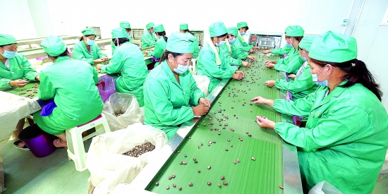 靈寶市某企業(yè)加工農副產品出口日韓