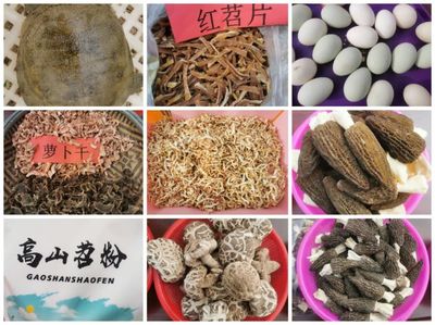 紅安縣上新集鎮(zhèn)舉行首屆網(wǎng)絡(luò)直播助農(nóng)促鄉(xiāng)村振興專場活動(dòng)