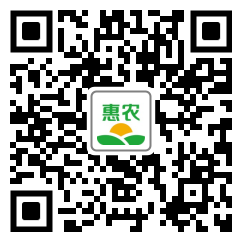 [香蔥香蔥 臘月蔥價(jià)格0.3斤