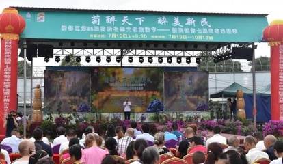 周末了!約起!新都區(qū)新民鎮(zhèn)“萄醉天下·醉美新民”葡萄采摘季來啦