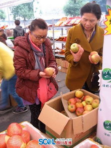四川老區 資格 原生態農副土特產品進成都 相因 等你淘